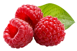 Raspberries
