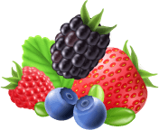 Berries